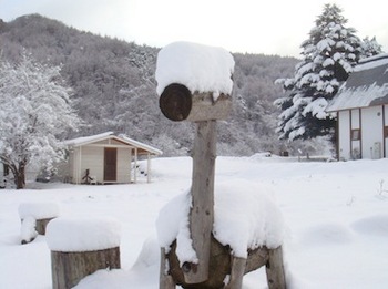 雪かき２／20120109.jpg